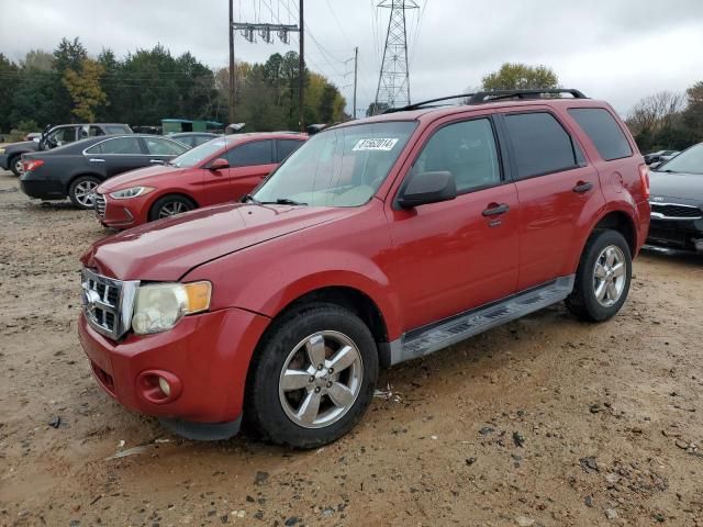 2011 Ford Escape XLT