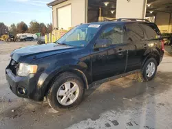 Salvage cars for sale at Columbia, MO auction: 2012 Ford Escape XLT