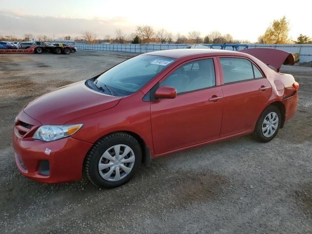 2011 Toyota Corolla Base