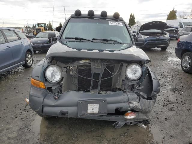 2005 Jeep Liberty Renegade