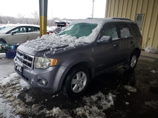 2008 Ford Escape XLT