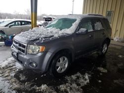 Ford salvage cars for sale: 2008 Ford Escape XLT