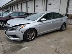 Salvage cars for sale at Louisville, KY auction: 2016 Hyundai Sonata SE