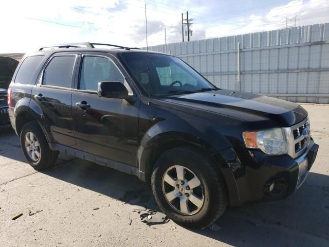 2010 Ford Escape Limited