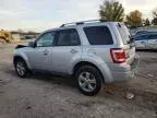 2009 Ford Escape Limited