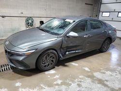 Salvage cars for sale at Ham Lake, MN auction: 2024 Hyundai Elantra SEL