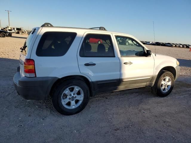 2006 Ford Escape XLT