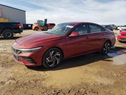 Salvage cars for sale at Amarillo, TX auction: 2024 Hyundai Elantra Limited