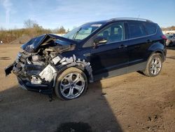 Salvage cars for sale at Columbia Station, OH auction: 2019 Ford Escape Titanium