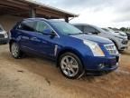 2012 Cadillac SRX Performance Collection