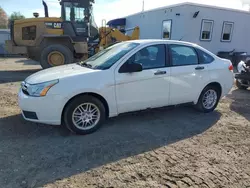 Ford salvage cars for sale: 2010 Ford Focus SE