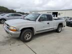 2000 Dodge Dakota