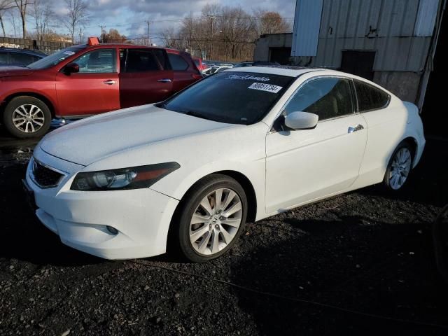 2010 Honda Accord EXL