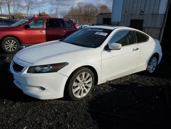 Honda salvage cars for sale: 2010 Honda Accord EXL