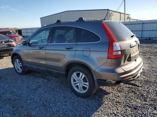 2010 Honda CR-V EXL