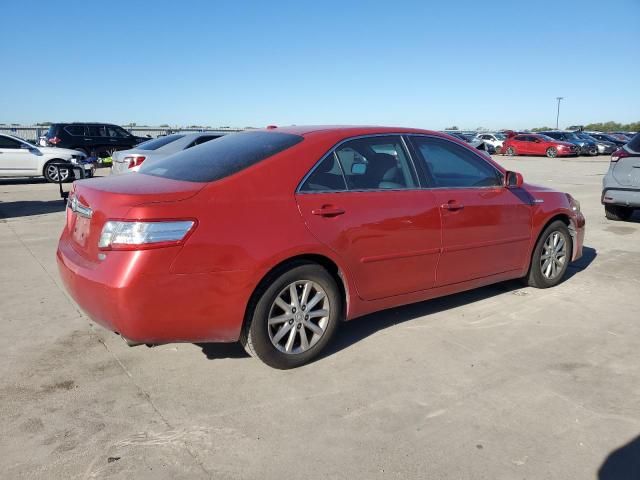 2010 Toyota Camry Hybrid