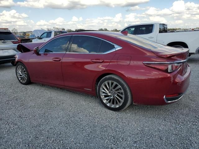 2021 Lexus ES 300H Ultra Luxury