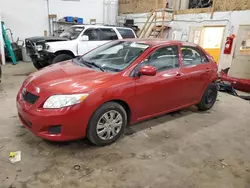 Salvage cars for sale from Copart Ham Lake, MN: 2009 Toyota Corolla Base