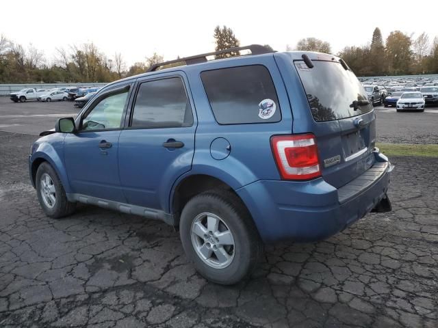 2009 Ford Escape XLT