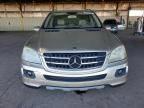 2007 Mercedes-Benz ML 350