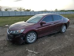 Honda salvage cars for sale: 2014 Honda Accord EXL