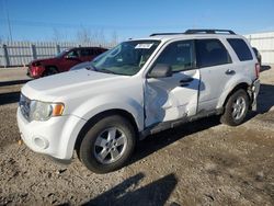 2009 Ford Escape XLT en venta en Nisku, AB