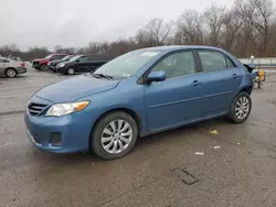 Salvage cars for sale at Ellwood City, PA auction: 2013 Toyota Corolla Base