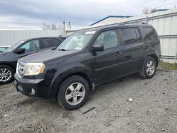 Salvage cars for sale at Albany, NY auction: 2009 Honda Pilot EXL