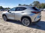 2025 Lexus NX 350 Luxury