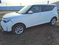 KIA Soul Vehiculos salvage en venta: 2024 KIA Soul LX