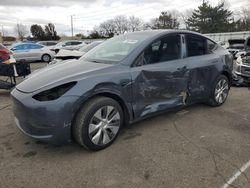 Salvage cars for sale at auction: 2023 Tesla Model Y