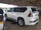 2019 Lexus GX 460