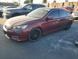 Honda Accord exl salvage cars for sale: 2013 Honda Accord EXL