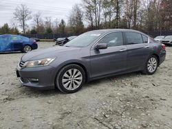 Salvage cars for sale at Waldorf, MD auction: 2013 Honda Accord EX