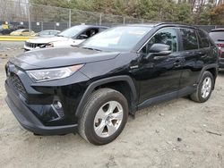 Salvage cars for sale at Waldorf, MD auction: 2021 Toyota Rav4 XLE