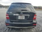 2010 Mercedes-Benz ML 350