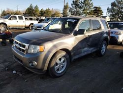 2011 Ford Escape XLT en venta en Denver, CO