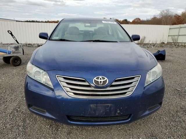 2009 Toyota Camry Hybrid