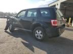 2012 Ford Escape XLS