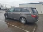 2011 Honda Odyssey EXL