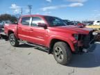 2019 Toyota Tacoma Double Cab