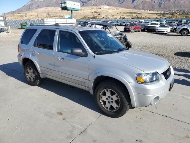 2005 Ford Escape Limited