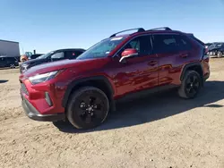 Salvage cars for sale from Copart Amarillo, TX: 2023 Toyota Rav4 XLE