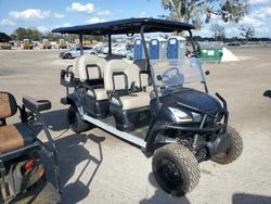 Salvage trucks for sale at Riverview, FL auction: 2020 JH Performanc