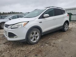 Salvage cars for sale at Franklin, WI auction: 2013 Ford Escape SE