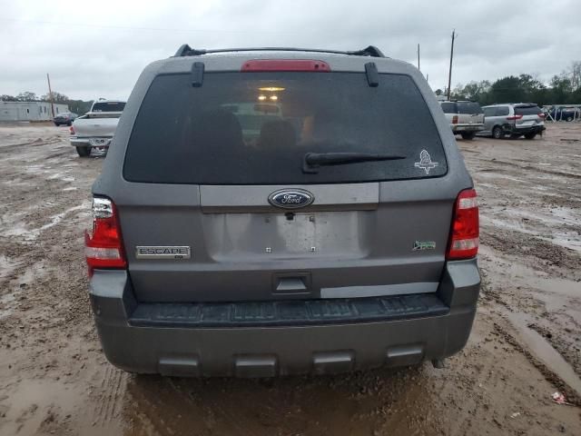 2010 Ford Escape XLT