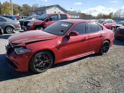 Salvage cars for sale at York Haven, PA auction: 2017 Alfa Romeo Giulia Quadrifoglio