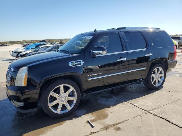 2009 Cadillac Escalade Hybrid