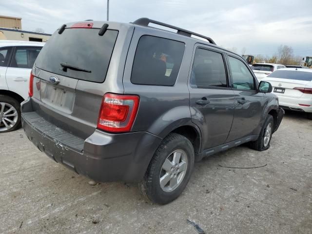 2009 Ford Escape XLT