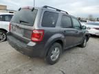 2009 Ford Escape XLT